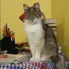 Отзыв от Вика Касаткина